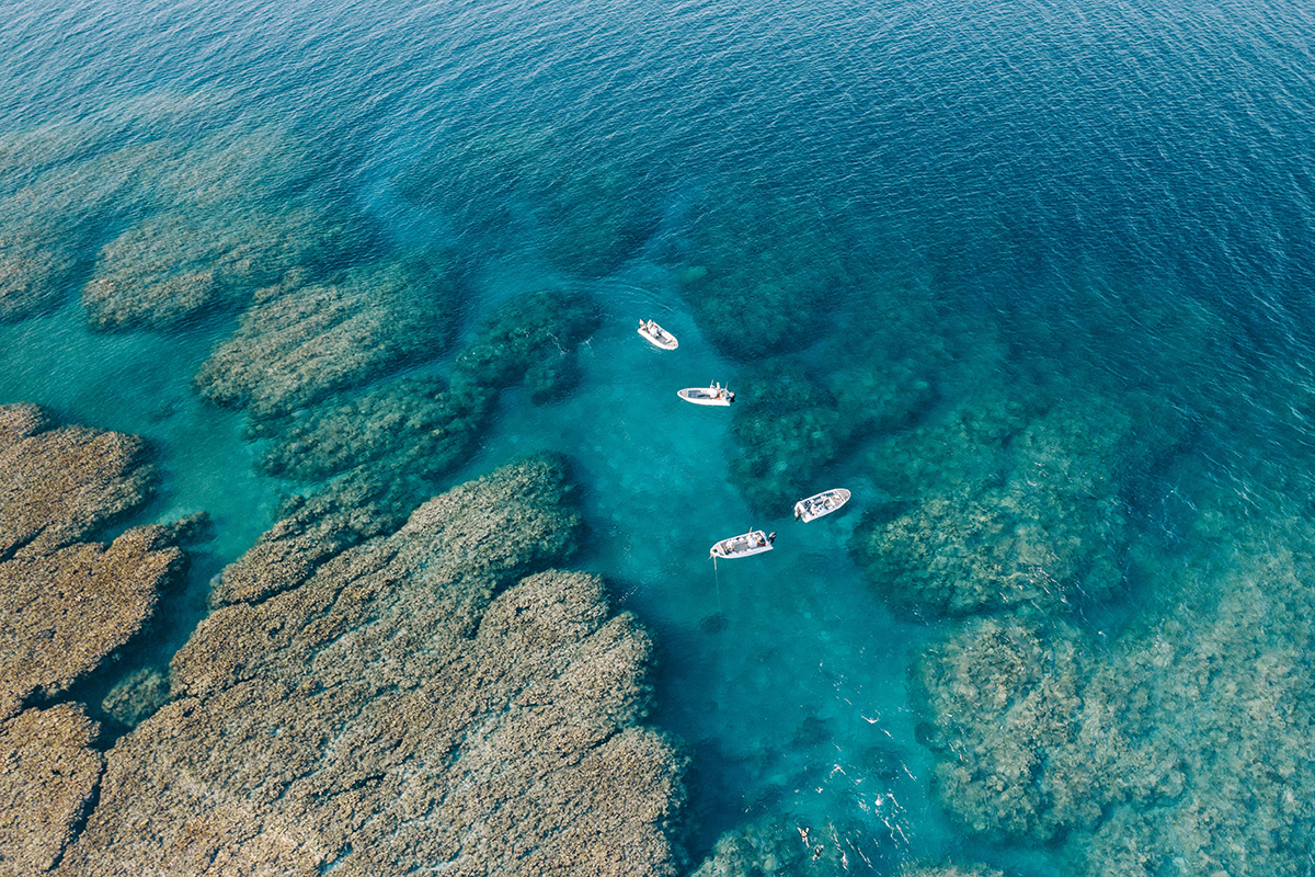 Great Barrier Reef conservation expedition launched by True North. 